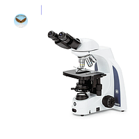 Kính hiển vi hai mắt iScope Euromex IS.1152-EPLi/SLC (EWF 10x/22 mm, 4x/10x/S40x/S100x)